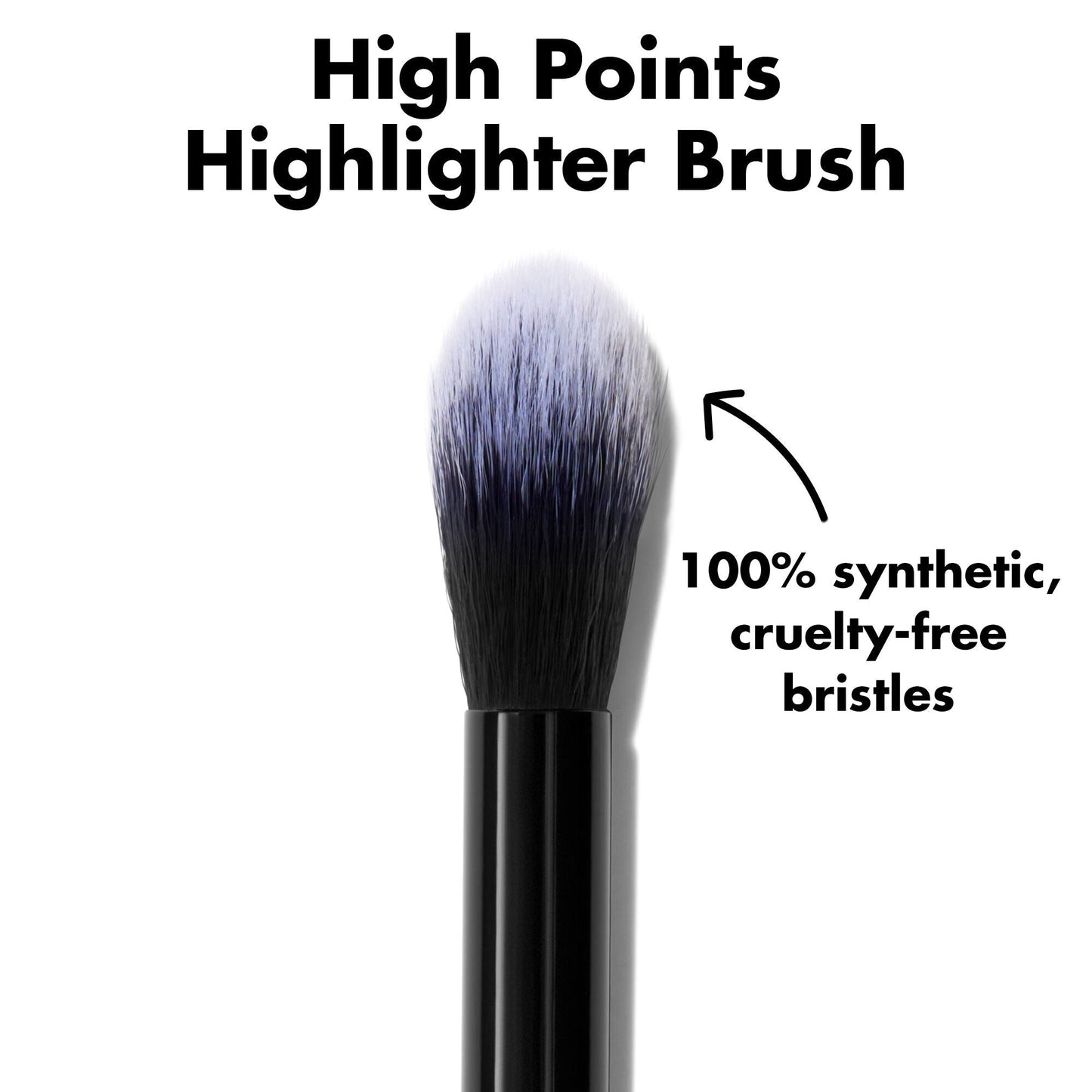 high-points-highlighter-brush-o9 0226_EDU_HighpointsHighlighterBrush_ProductDetail.jpg
