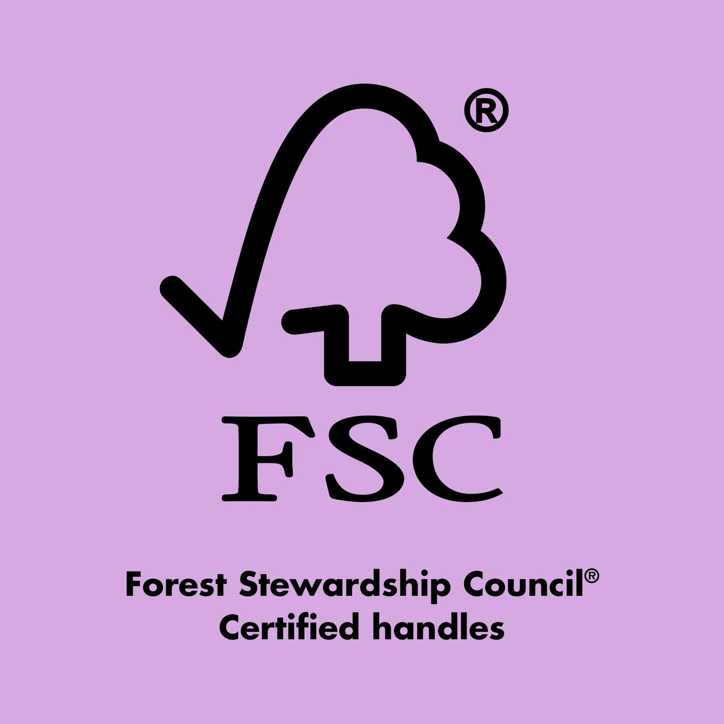 ten-out-of-ten-brush-kit-n1 0423_EDUCATION_FSC_EVERGREEN.jpg