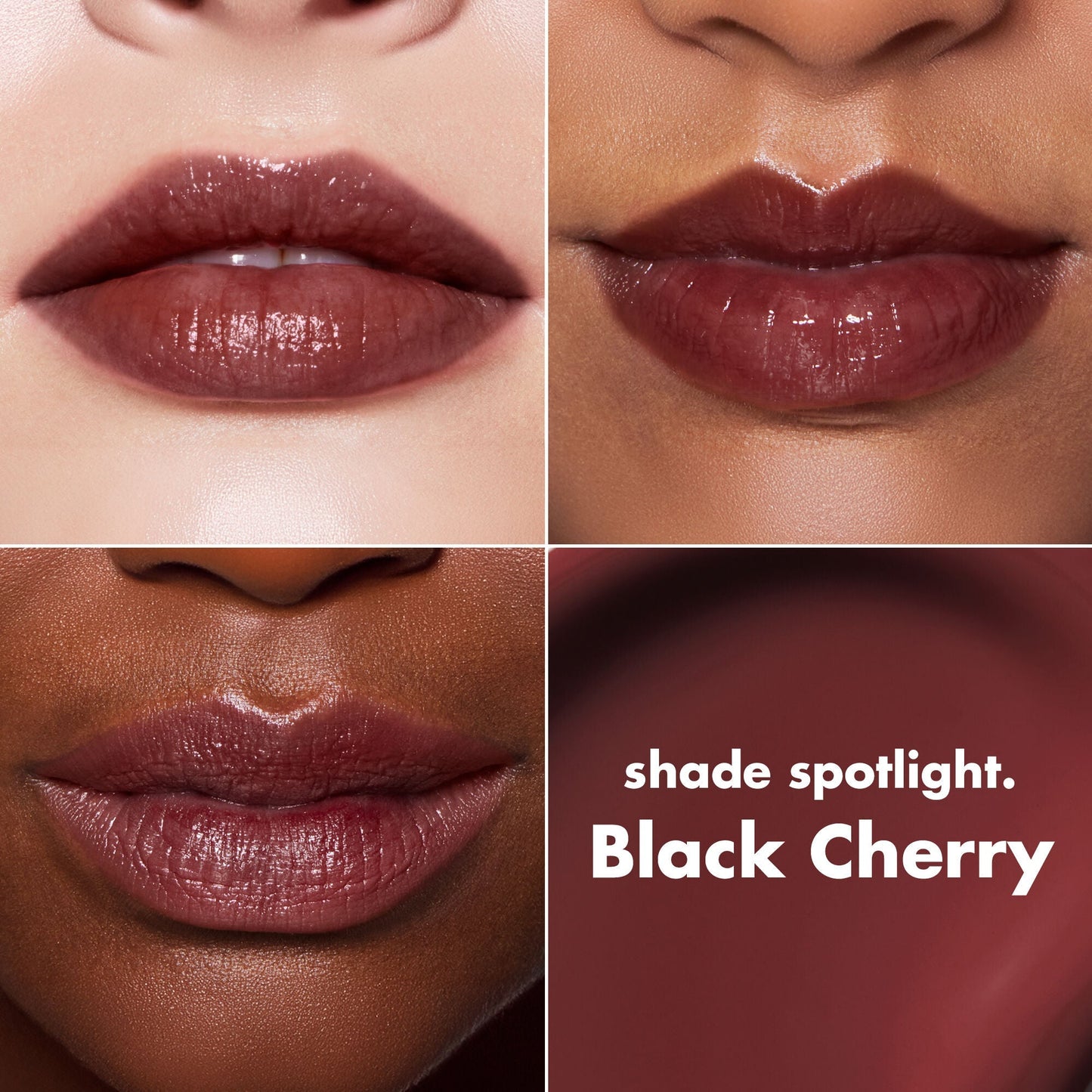lip-lacquer-y8 0426_EDU_LipLaquer_ShadeChart_BlackCherry.jpg