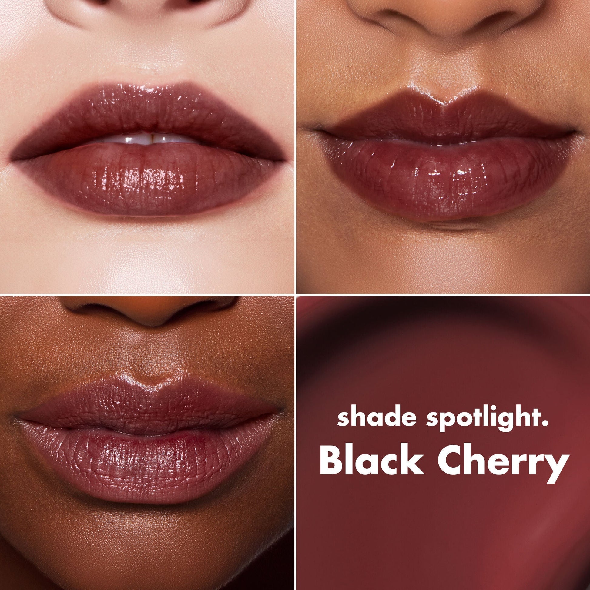 lip-lacquer-y8 0426_EDU_LipLaquer_ShadeChart_BlackCherry.jpg