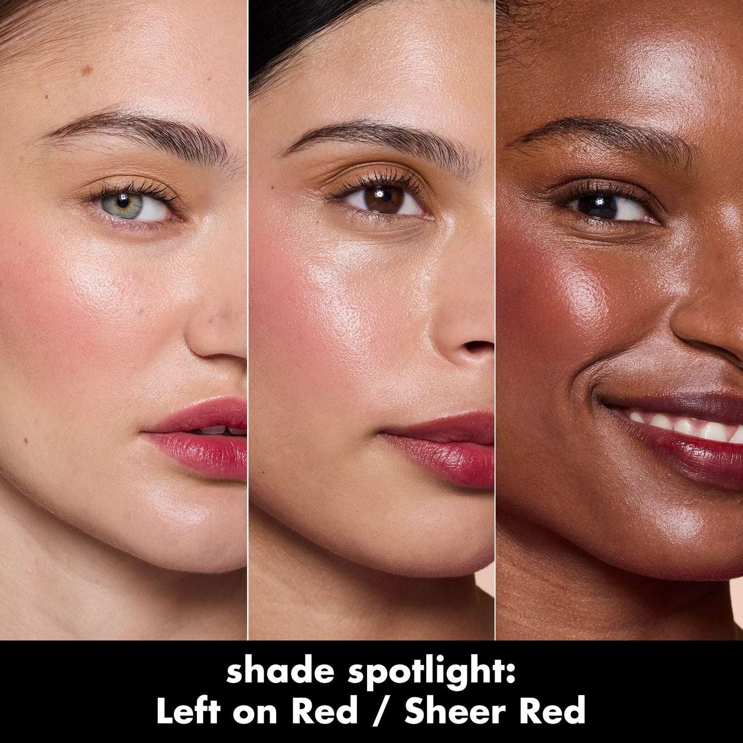 sheer-for-it-blush-tint-b5 0526_SEO_SheerForIt_ShadeSpotlight_LeftOnRed.jpg