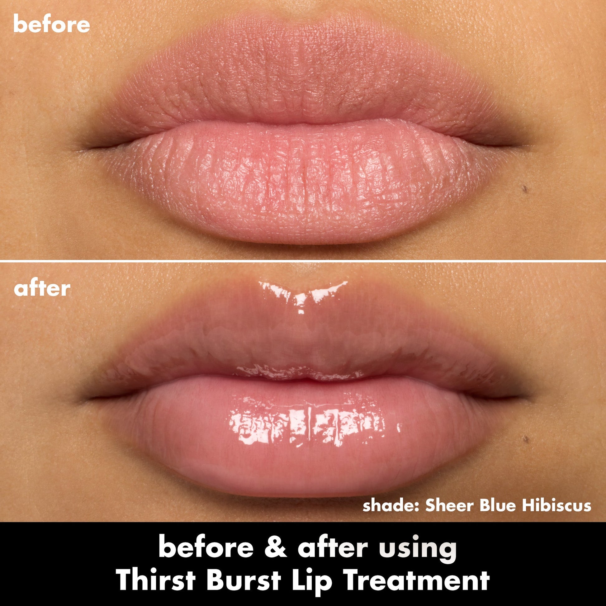 thirst-burst-lip-treatment-r6 0526_SEO_ThirstBurstLipTreatment_BA_SheerBlueHibiscus.jpg