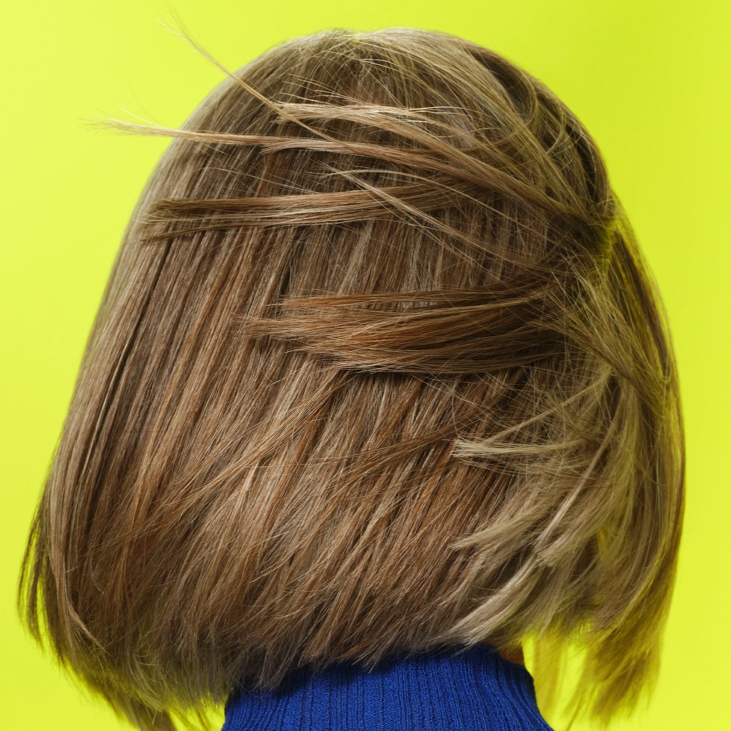 frizz-to-rizz-trio-j2 111725_Vicky_HumidityAntifrizz-Editorial_0538_w2QC_IGF_1x1_05a09617-4ccf-44a2-8545-199321a503e1.jpg
