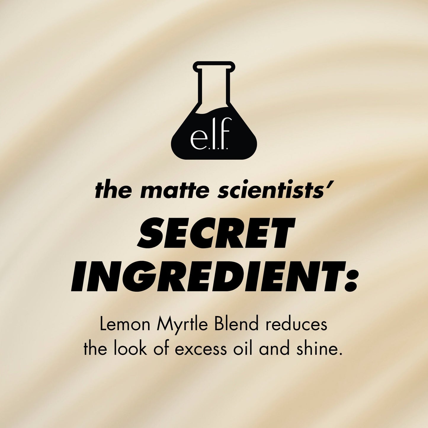 power-grip-matte-primer-s4 1224_EDUCATION_PGMATTE_INGREDIENT_b9de063f-aeb5-403f-9709-c3cafbf9c9d1.jpg